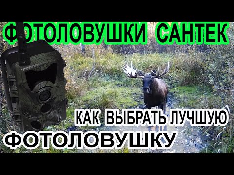 Видео: Фотоловушки Сантек Как выбрать лучшую фотоловушку