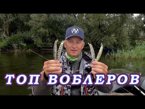 Видео: Работают 2 Воблера!  2 ЯПОНКИ против 2 КИТАЕК!! Проводка ТВИЧИНГ-Уловистые ВАРИАНТЫ!