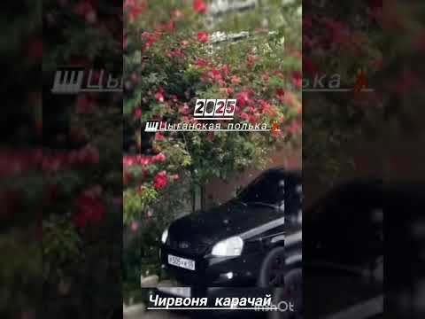 Видео: NEV!⚜️Цыганская полька 2025⚜️
