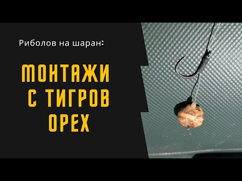 Видео: Риболов на шаран: Монтажи с тигров орех