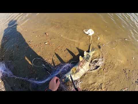 Видео: Я не я,сеть не моя.