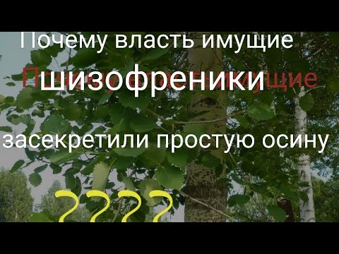 Видео: ПЕЙ ЭТО И БУДЕШЬ СУПЕРМЕНОМ. ОСИНА ,ЛОПУХ ,ПЫРЕЙ , ОДУВАНЧИК.