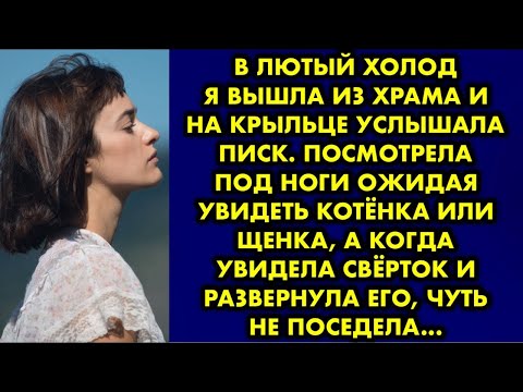 Видео: В лютый холод я вышла из храма и на крыльце услышала писк. Посмотрела под ноги ожидая увидеть кота