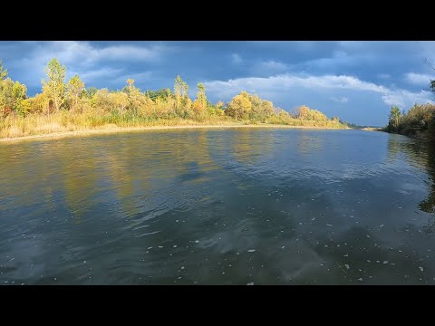 Видео: Рибалка на Пруті в жовтні