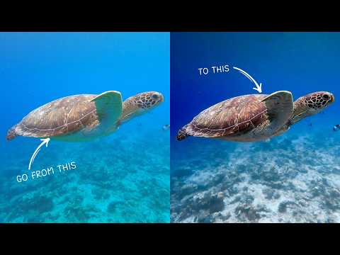 Видео: Как редактировать подводные фотографии с помощью Lightroom