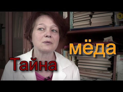 Видео: О мёде. Как появляется научная гипотеза