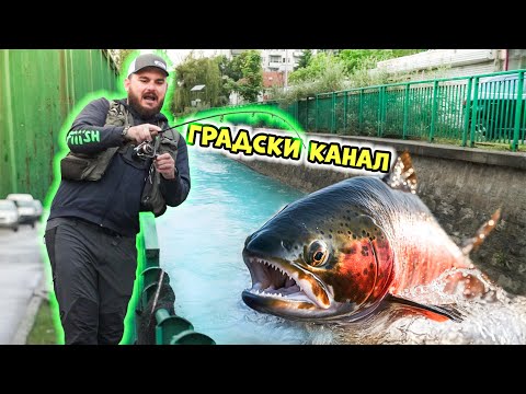 Видео: ПОБЪРКАХА МЕ! Градски КАНАЛ пълен с риба! Риболов на спининг в София.