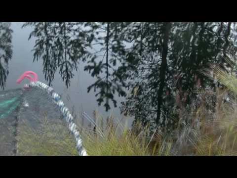 Видео: Две верши.  Сравнительный тест, странный результат в конце.