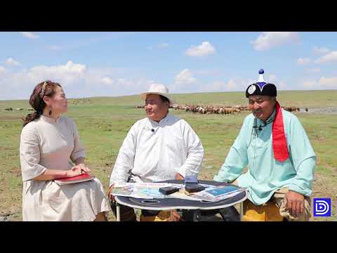 Видео: "Тод Магнай" Подкаст № 47