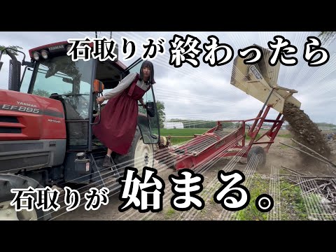 Видео: Японка Выращивает Тыквы на Поле, Где Камни Бесконечно Появляются