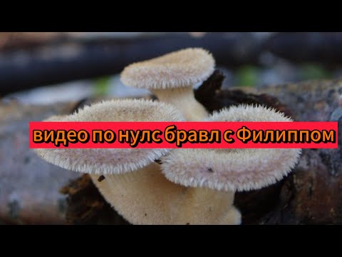 Видео: играем в нулс бравл с Филиппом