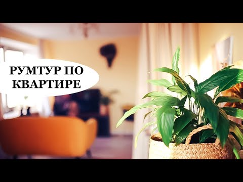 Видео: РУМТУР  Как захламили квартиру за год - Senya Miro