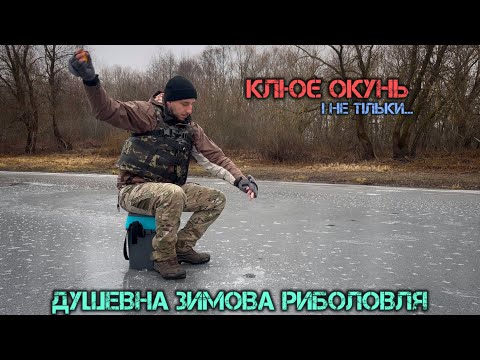 Видео: ЗНАЙШОВ ЛІД, ЩЕ Й РИБИ НАЛОВИВ! ОКУНЬ НА МОРМИШКУ.