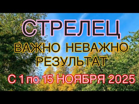 Видео: СТРЕЛЕЦ С 01  ПО 15  НОЯБРЯ   2025 | ВАЖНО! | НЕ ВАЖНО! | РЕЗУЛЬТАТ | ПРОГНОЗ ОТ NATALLIA  MARKOWSKA