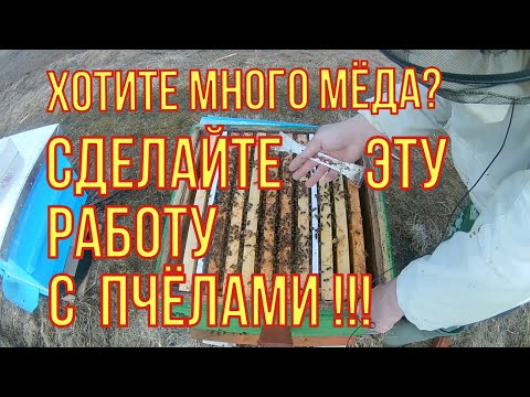 Видео: Сделайте обязательно эту работу весной,чтобы получить много мёда.