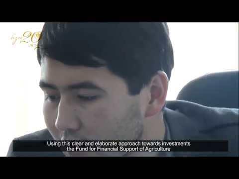Видео: «Большой эффект малых чисел»