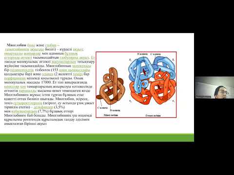Видео: адам гемоглобині мен миоглобинінің құр мен қызм бейнебаян