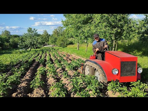 Видео: Гусеничный минитрактор окучивает картошку.