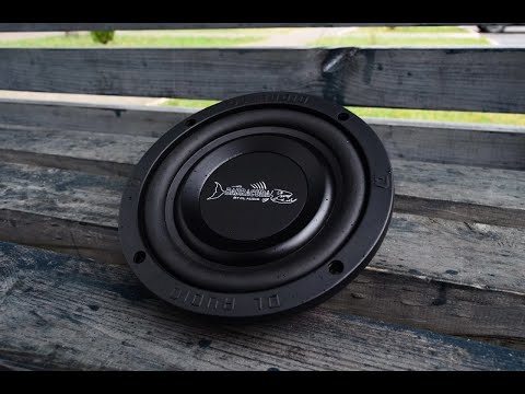 Видео: DL Audio Barracuda 6.5 Flat - удачное сочетание компактности и баса