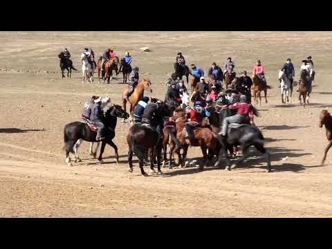 Видео: улок жоркутон 🇹🇯🇹🇯🏇🏇