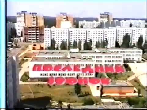 Видео: Звери. Все впереди.