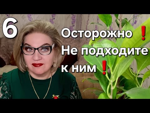 Видео: Осторожно❗️ Не подходите к ним❗️