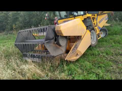 Видео: Первый выезд зерноуборочного комбайна Terrion 2010 на опытное поле ЯРОСЛАВСКОЙ ГСХА, уборка.