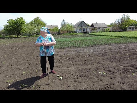 Видео: 🐈В селе у СВЕКРУНЬКИ🙋‍♀️🏡🌞🏡