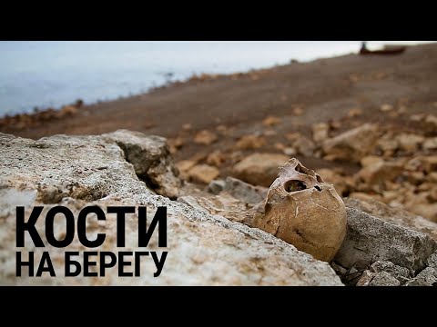 Видео: Кости на берегу