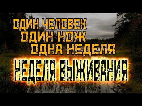 Видео: Неделя выживания. Без еды, воды и снаряжения.