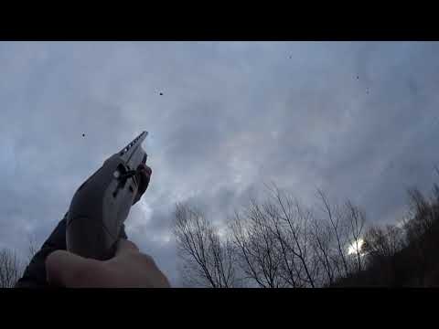 Видео: Болтовня в перемешку со стрельбой по воронам.