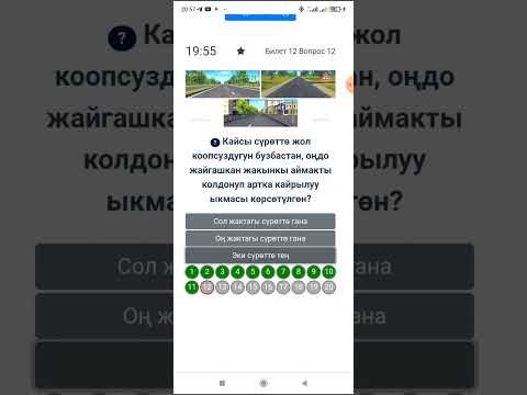 Видео: Жол эрежесин уйронуу 12-сабак 0706758750