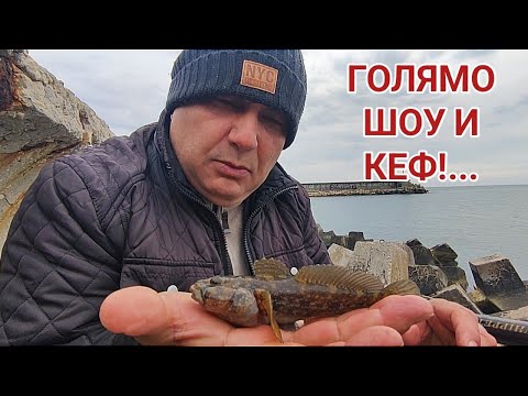 Видео: Каменни попчета на бял Ем! Гларусите направиха велико морско шоу! Отдавна не бях се забавлявал така