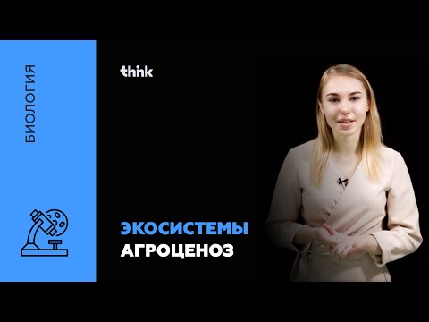 Видео: Экосистемы. Агроценоз | Биология