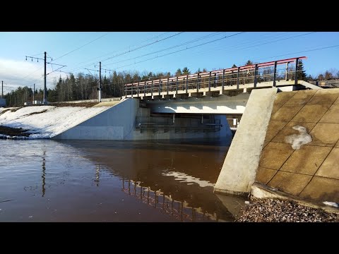 Видео: Открытие сезона 2024. Сплав по рекам Ямуга и Сестра.