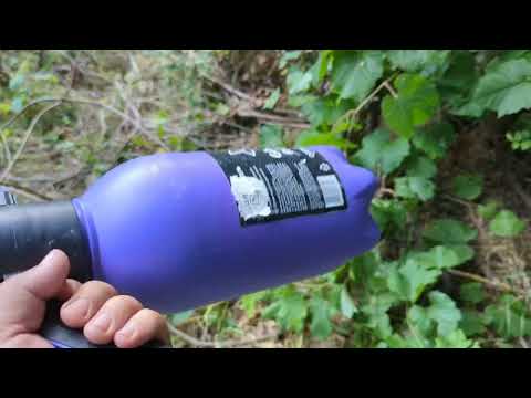 Видео: Прививка винограда  в штамб. 26.03.25 (Эксперимент ч.2)