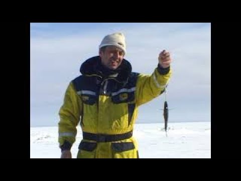 Видео: зимняя рыбалка на льду Чудского озера