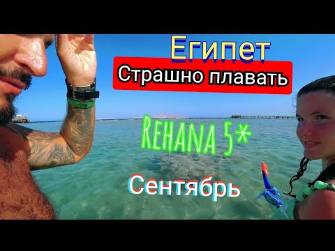 Видео: СТРАШНО ПЛАВАТЬ Rehana Royal Beach Resort & Spa 5* Первая линия Район Набк Ужин Анимация Риф и рыбки