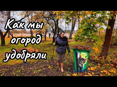 Видео: Осенью мне обязательно надо удобрить почву,ведь я "зелёный" огородник!!!