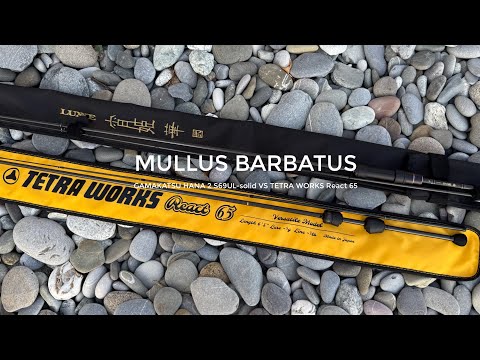 Видео: Раздача барабули на закате. Gamakatsu Hana 2 S69UL-solid VS Tetra Works React 65