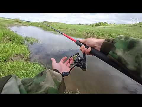 Видео: Эта блесна творит чудеса!! жор маленькой щуки на малой реке. блесна вертушка. рыбалка на малых реках