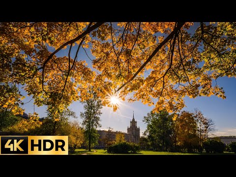 Видео: 🇷🇺 4K HDR Золотая осень в САНКТ-ПЕТЕРБУРГЕ. Красивая прогулка по Московскому парку Победы.