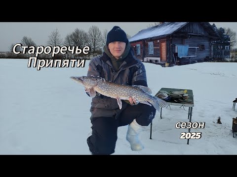 Видео: МЕЧТЫ сбываются.Зимняя РЫБАЛКА с ночёвкой на реке ПРИПЯТЬ.