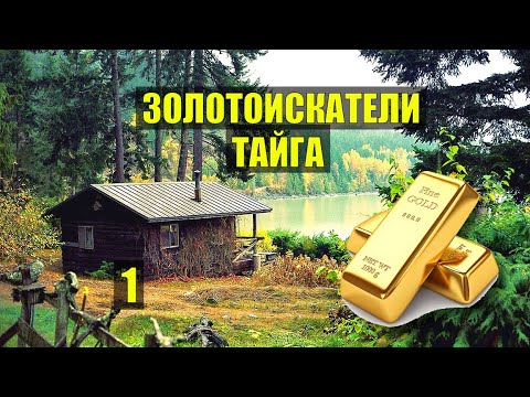 Видео: ЗОЛОТОИСКАТЕЛИ ТАЙГА ДЕТЕКТИВ АРТЕЛЬ ЗОЛОТОДОБЫЧА СУДЬБА ИСТОРИИ из ЖИЗНИ ДОМ в ЛЕСУ ЛЕСНЫЕ СЕРИАЛ 1