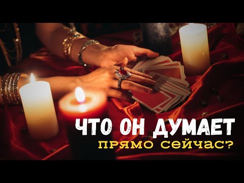 Видео: Не ИСПУГАЕТЕСЬ? Что он думает О ВАС прямо сейчас?