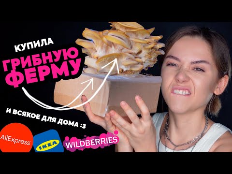 Видео: Самые КРУТЫЕ покупки для ДОМА - Aliexpress, Wildberries, IKEA