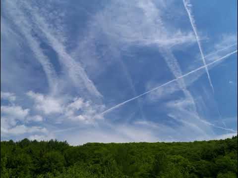 Видео: Владимир Пресняков-Острова (slowed+reverb)