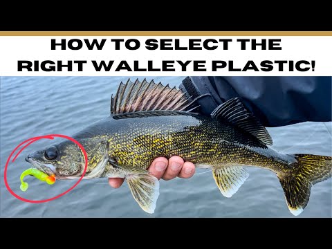 Видео: Не покупайте еще одну пластиковую удочку, пока не посмотрите это!