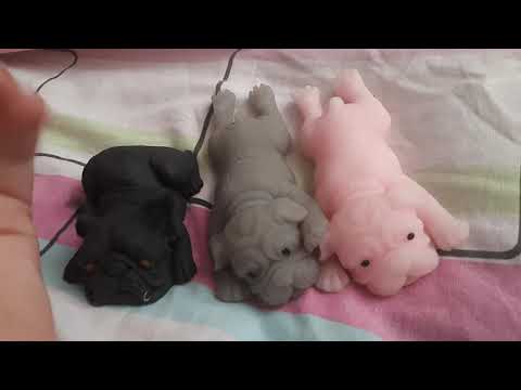 Видео: где купить сквиши собак