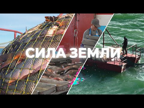 Видео: Программа "СИЛА ЗЕМЛИ" | 13 ноября 2025 | Телеканал ОТС